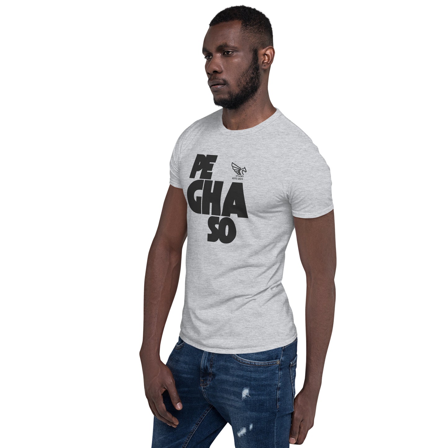 Camiseta PEGHASO BIG STUDIO 2024