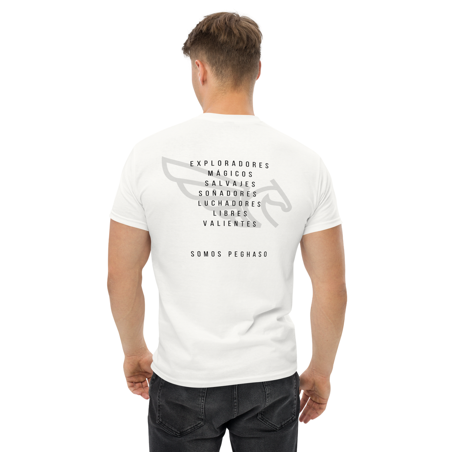 Camiseta PEGHASO GREY DIFFERENT