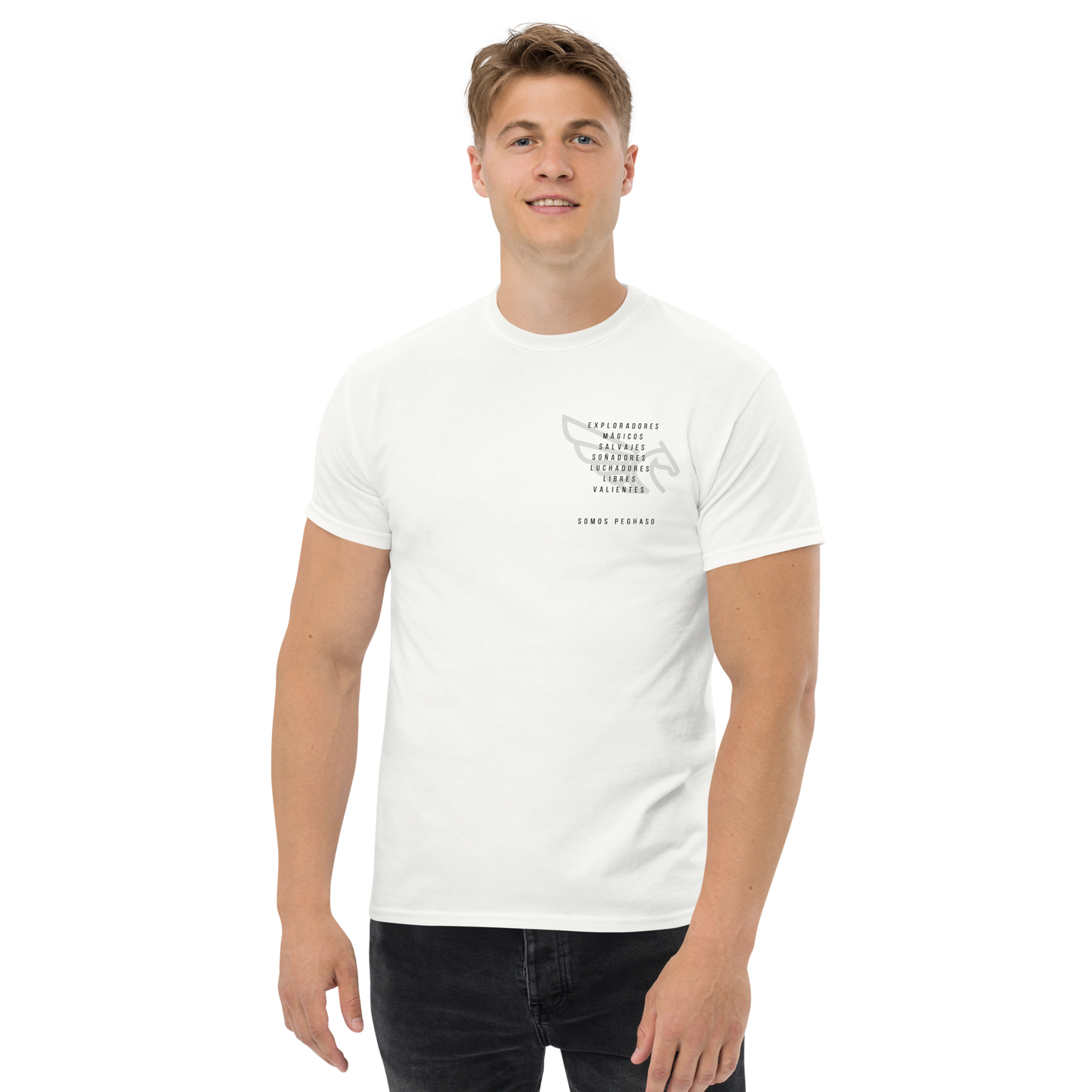 Camiseta PEGHASO GREY DIFFERENT