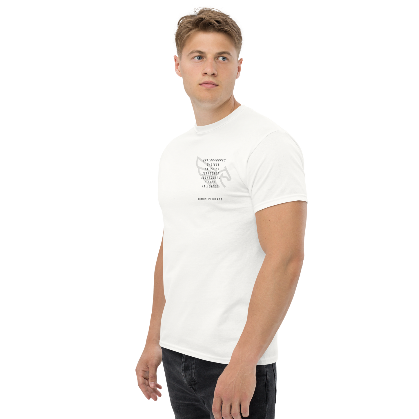 Camiseta PEGHASO GREY DIFFERENT