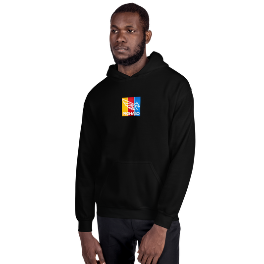 HOODIE TRICOLOR PEGHASO