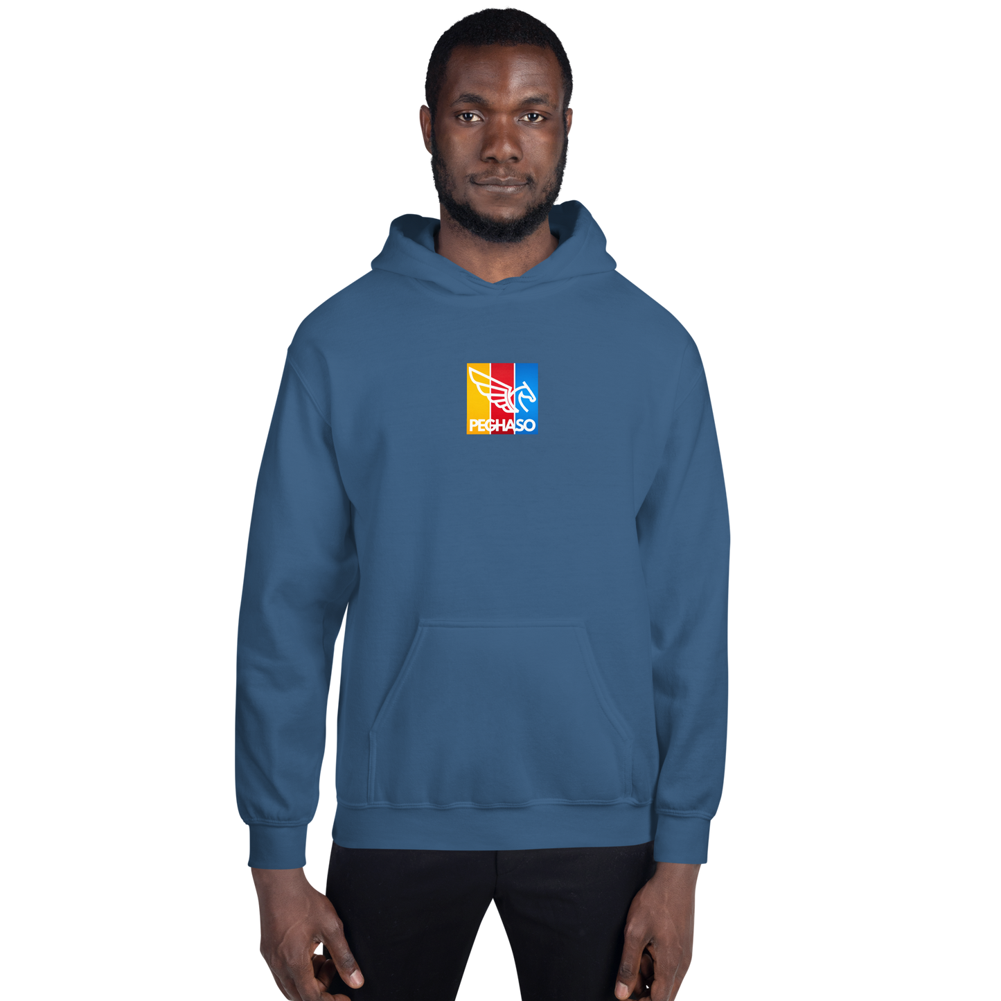 HOODIE TRICOLOR PEGHASO