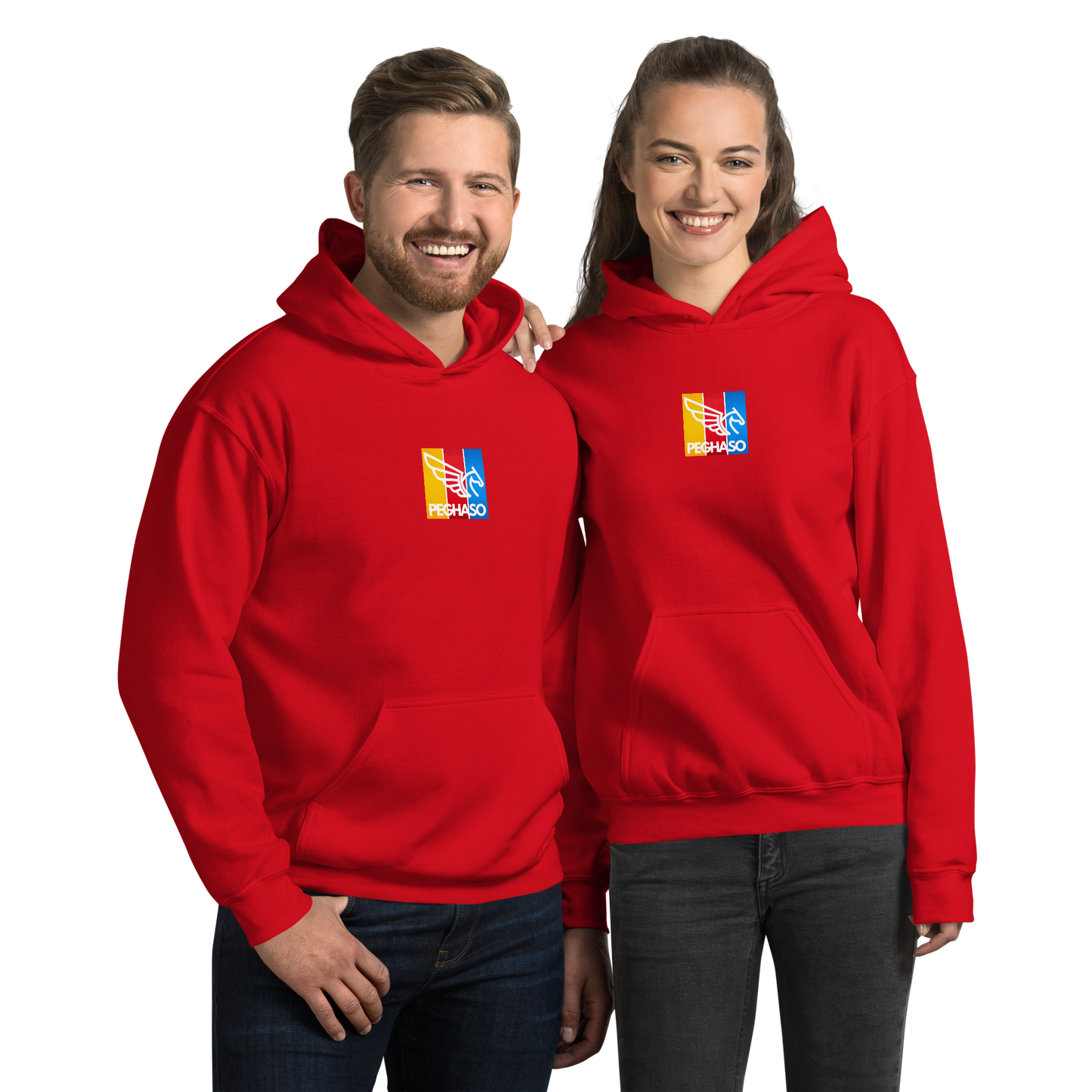 HOODIE TRICOLOR PEGHASO