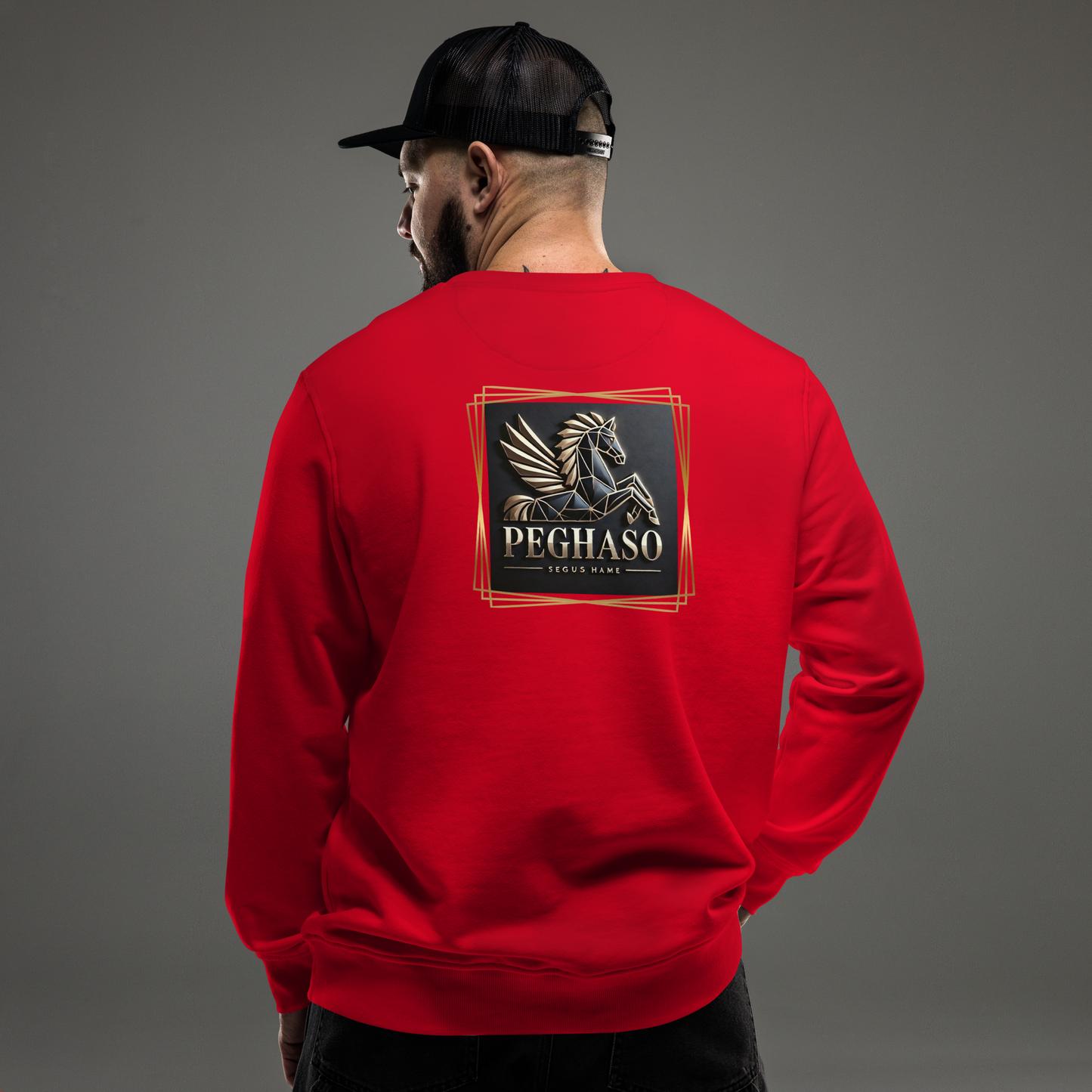 Sudadera orgánica hombre - SUPREME PEGHASO SEGUS HAME