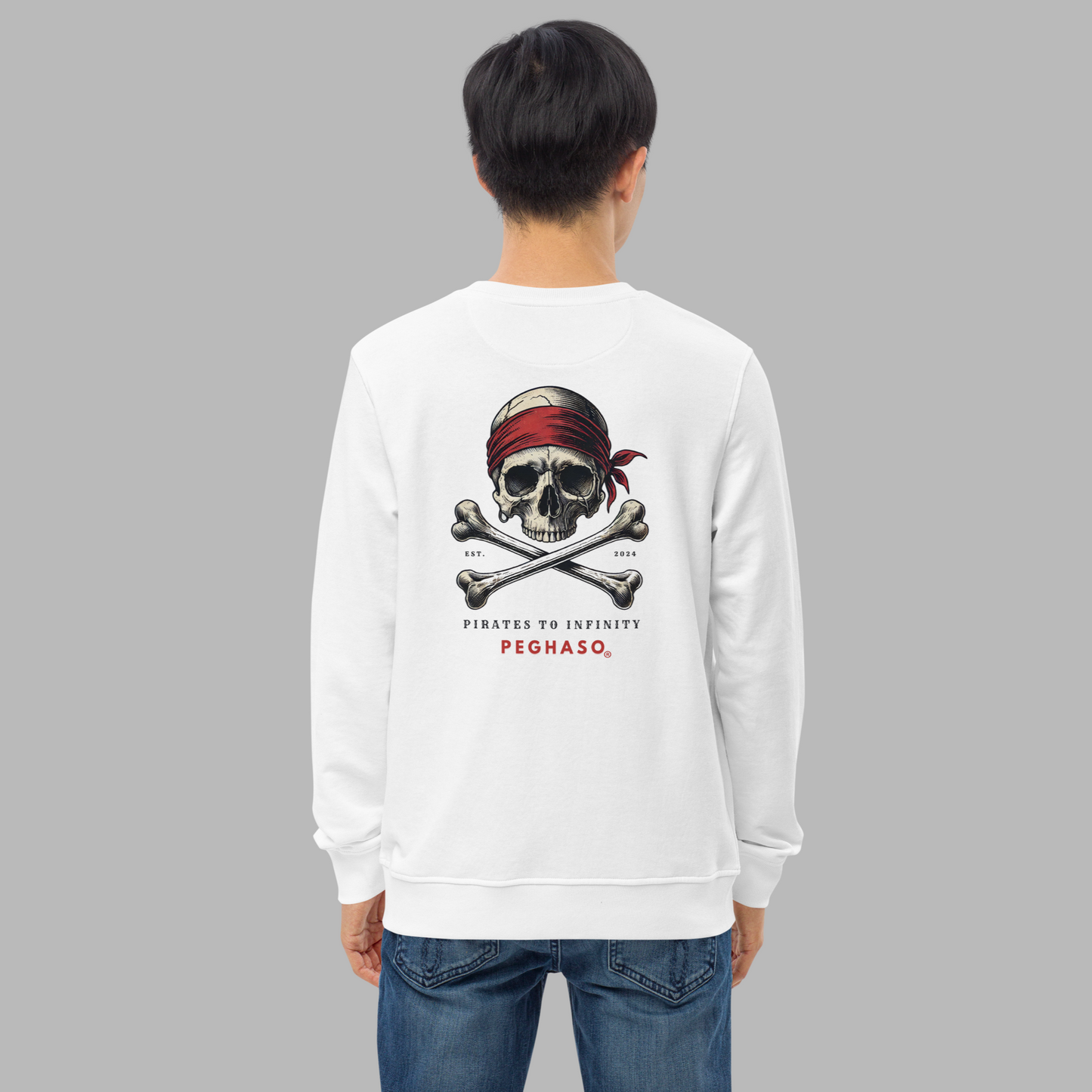 Sudadera Unisex PEGHASO Pirates to Infinity –Estilo Streetwear - Carabela