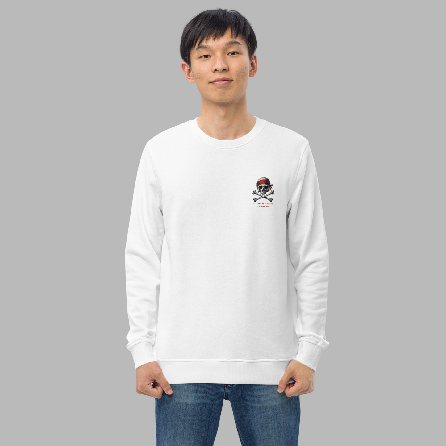 Sudadera Unisex PEGHASO Pirates to Infinity –Estilo Streetwear - Carabela