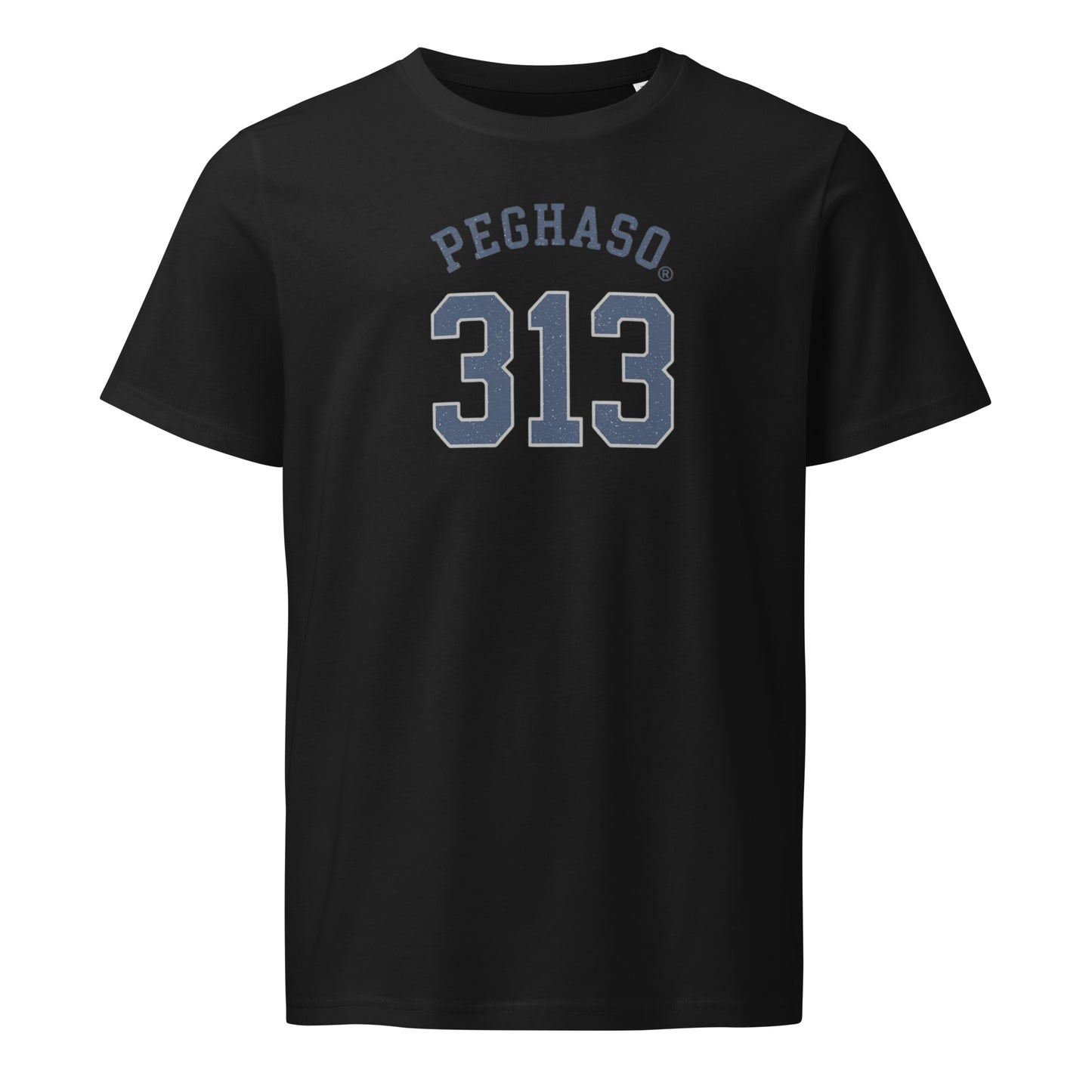 Camiseta Basic Premium 313 PEGHASO Negra - Vista Frontal - Diseño Streetwear Exclusivo