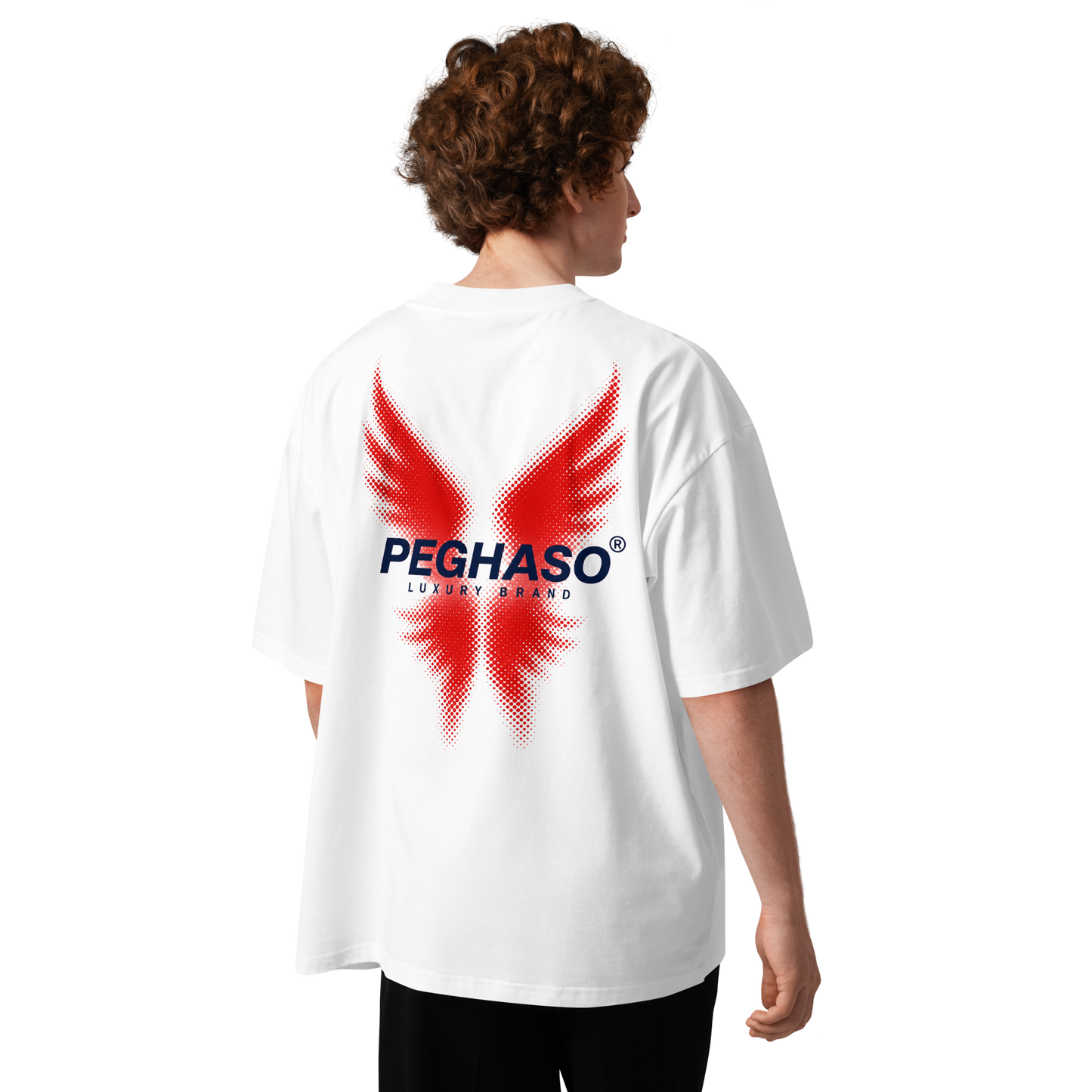 camiseta oversize premium project 6 espalda peghaso