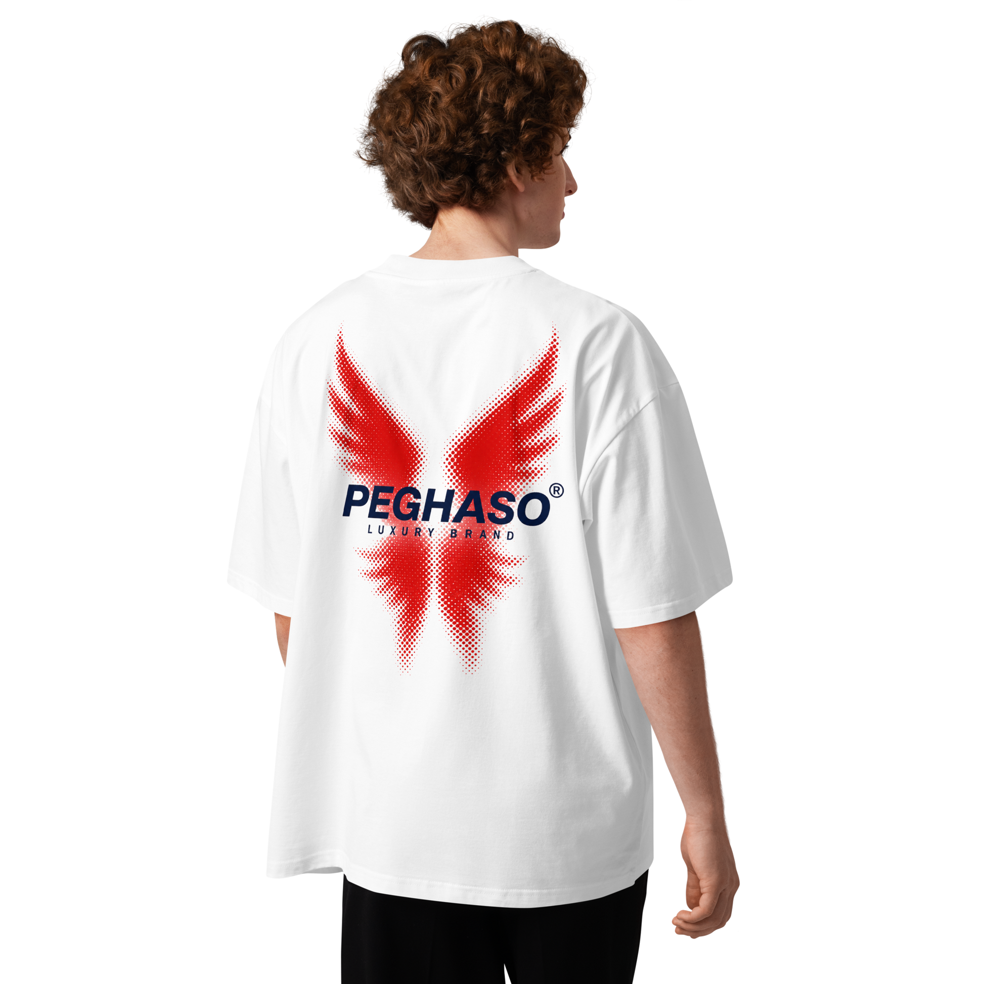 camiseta oversize premium project 6 espalda peghaso