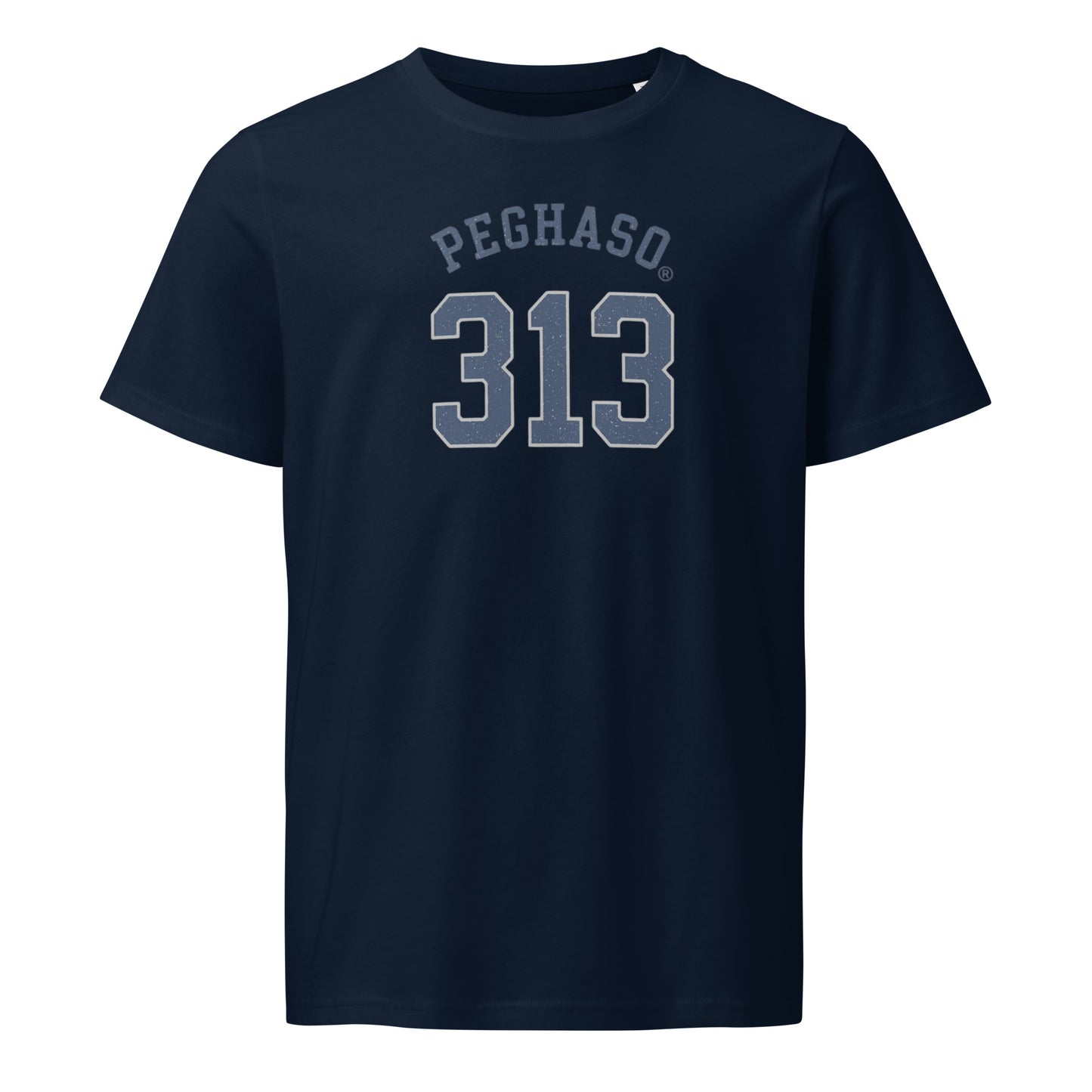Camiseta Basic Premium 313 PEGHASO azul - Vista Frontal - Diseño Streetwear Exclusivo