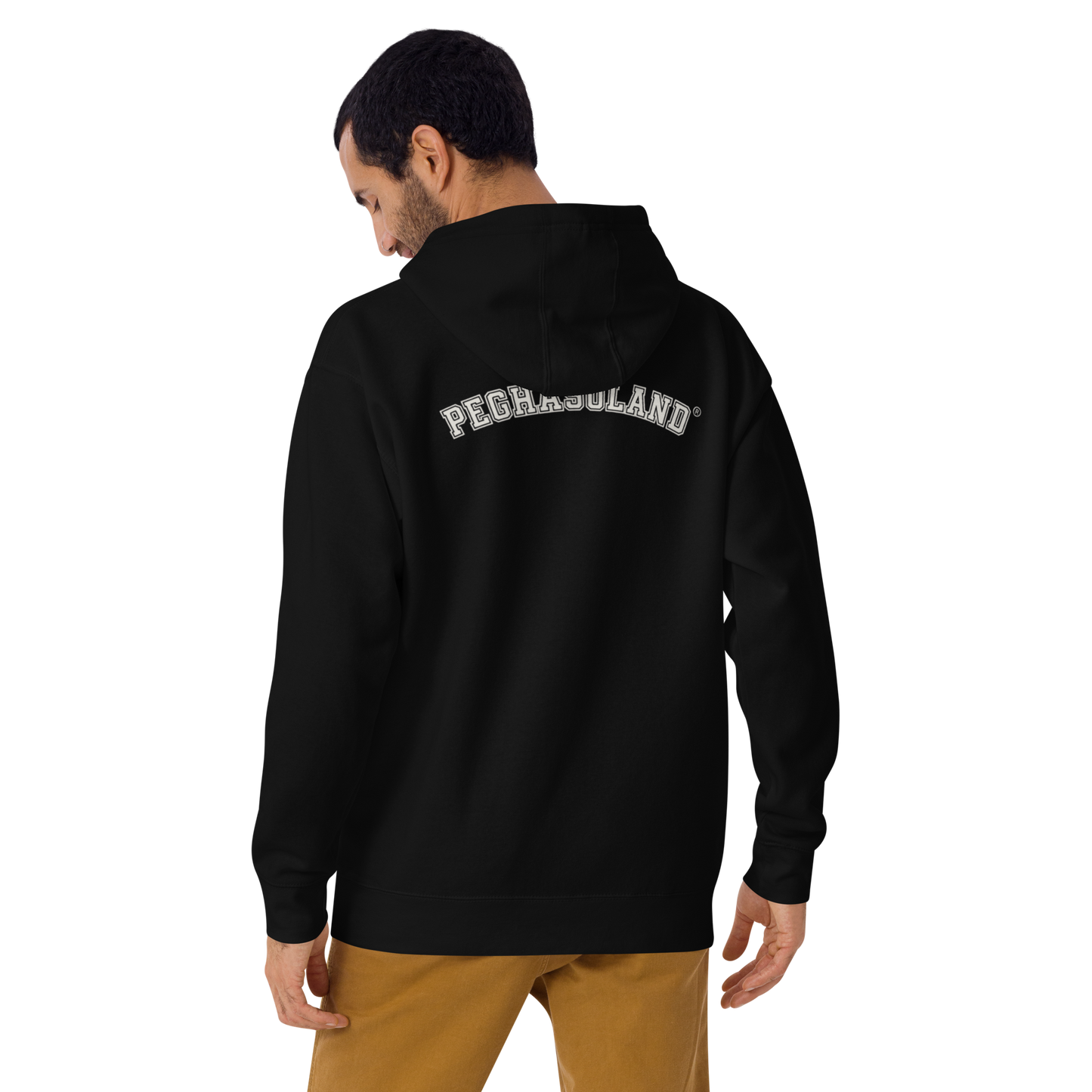 1. Hoodie PEGHASOLAND - Sudadera con capucha premium PEGHASO