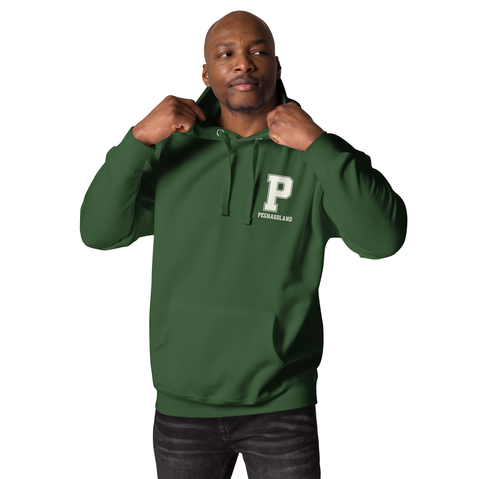 hoodie-premium-peghasoland-negro-logo-p-universitario.jpg