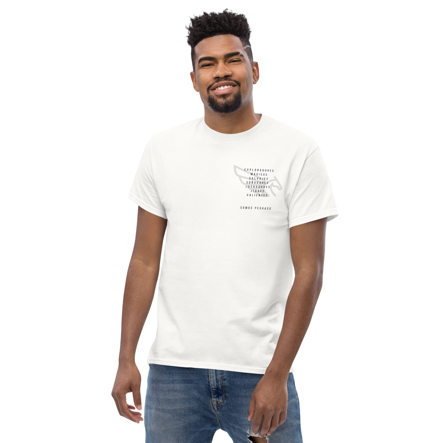 Camiseta PEGHASO GREY DIFFERENT