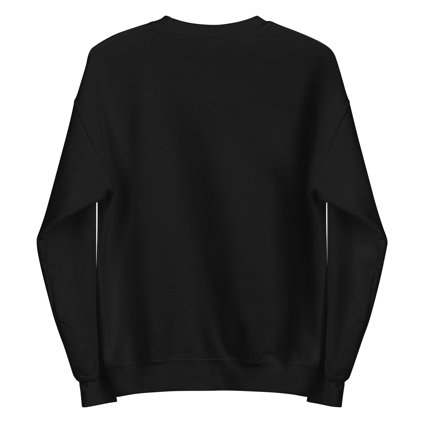 Max's Flight sweatshirt | HAWKING THINGS Collection | PEGHASO