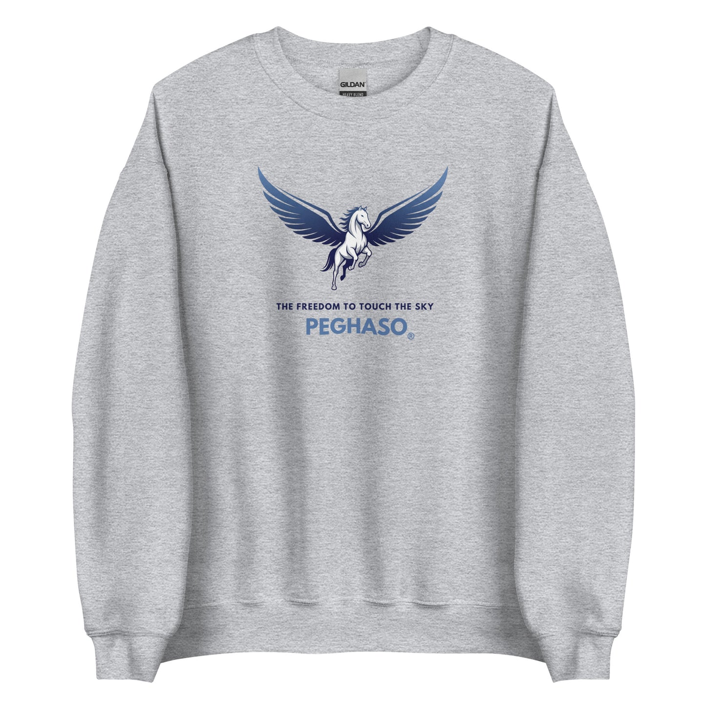 sudadera-unisex-peghaso-logo-pegaso-sport-grey.jpg