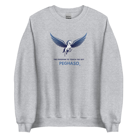 sudadera-unisex-peghaso-logo-pegaso-sport-grey.jpg