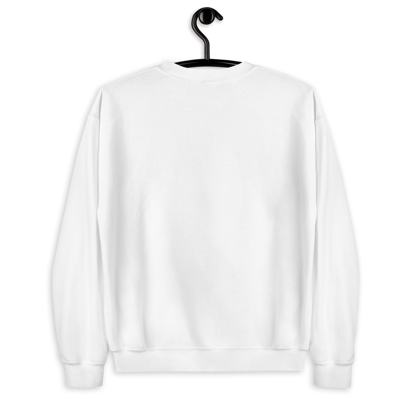 Max's Flight sweatshirt | HAWKING THINGS Collection | PEGHASO