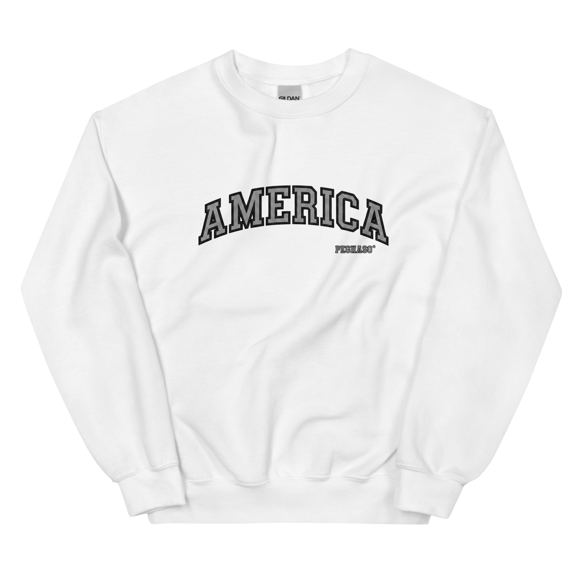 Detalle del logo PEGHASO en sudadera estilo americano Chandler Bing