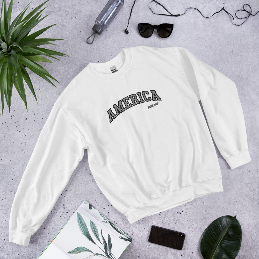 Streetwear outfit with AMERICA CHANDLER PEGHASO sweatshirt inspired by Chandler Bing