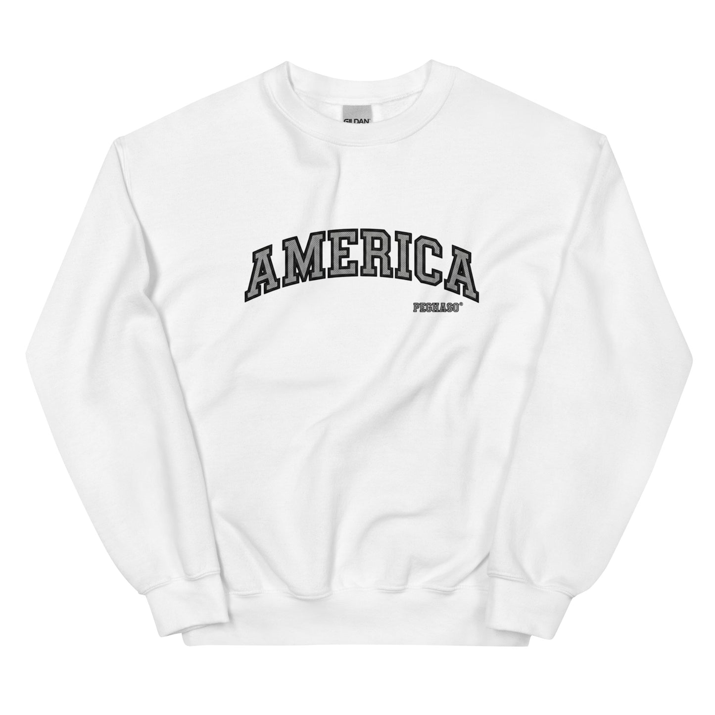 Sudadera AMERICA CHANDLER PEGHASO inspirada en Friends – moda urbana streetwear España