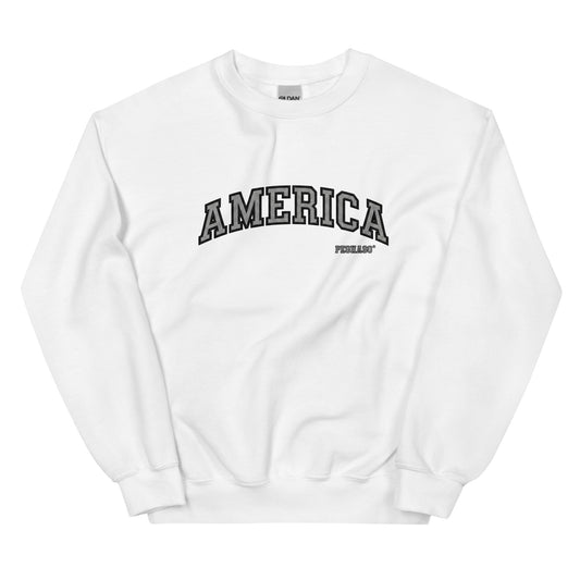 Sudadera AMERICA CHANDLER PEGHASO inspirada en Friends – moda urbana streetwear España
