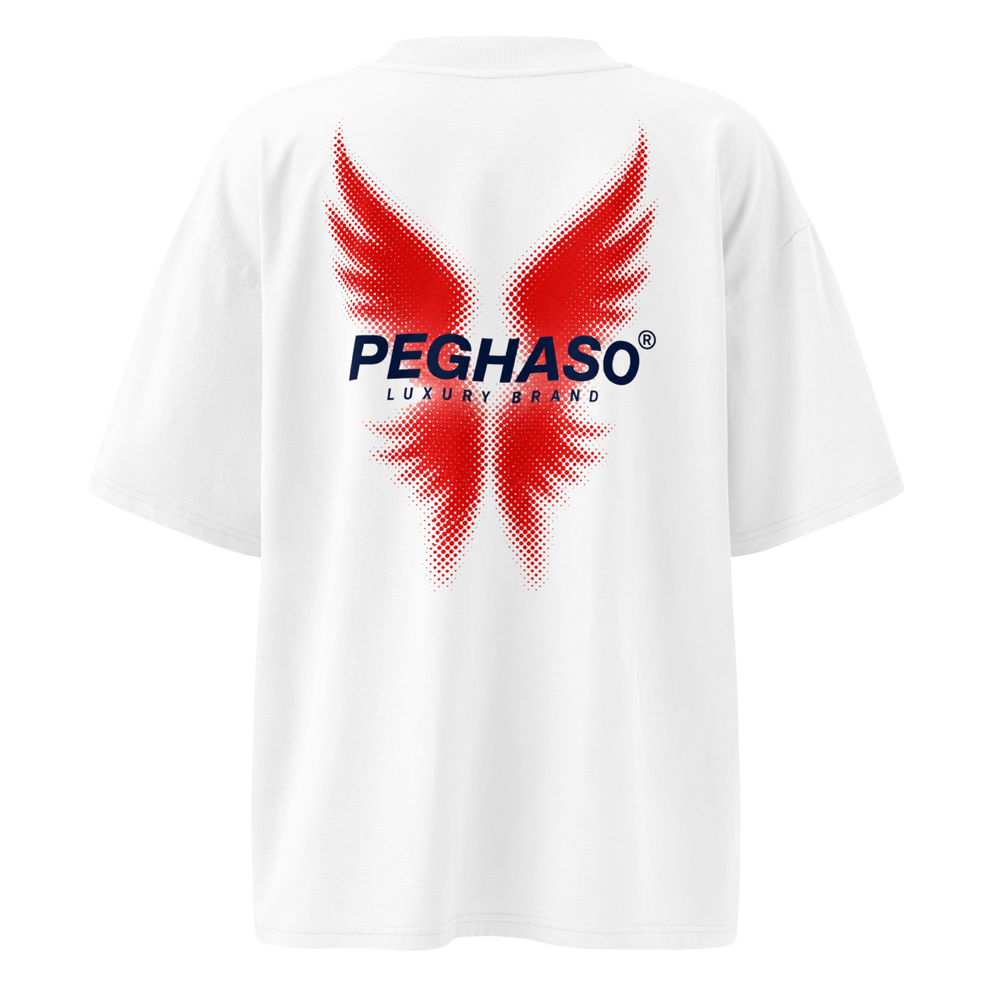Camiseta Oversize de Lujo "Project 6" Heavyweight | PEGHASO®