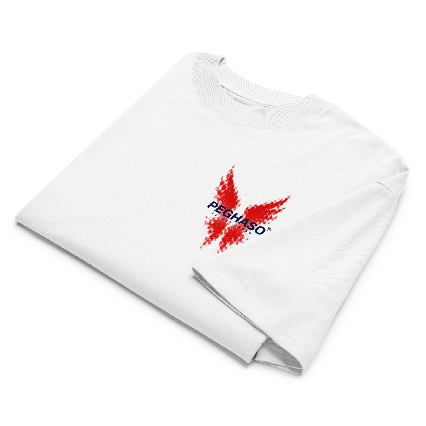 Camiseta Oversize de Lujo "Project 6" Heavyweight | PEGHASO®