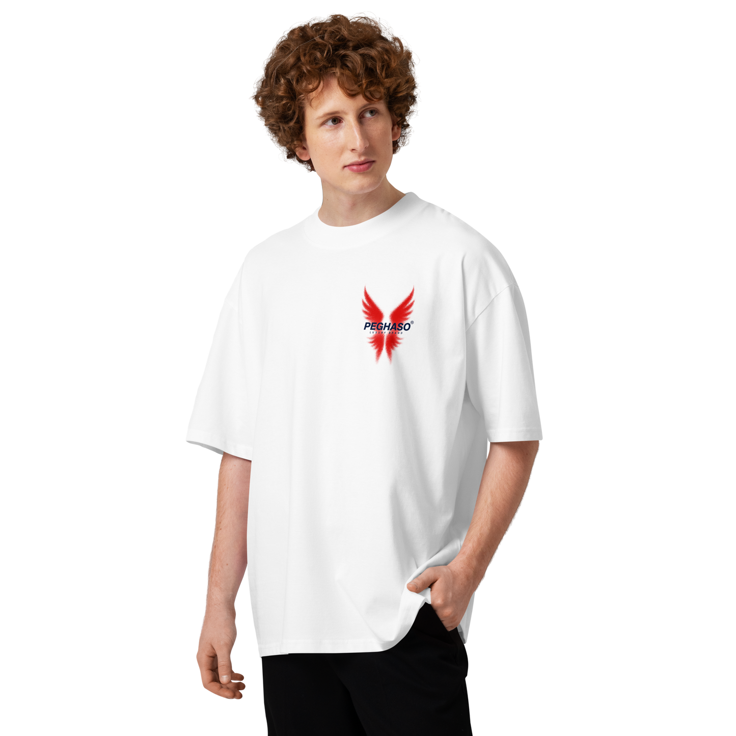 Camiseta Oversize de Lujo "Project 6" Heavyweight | PEGHASO®