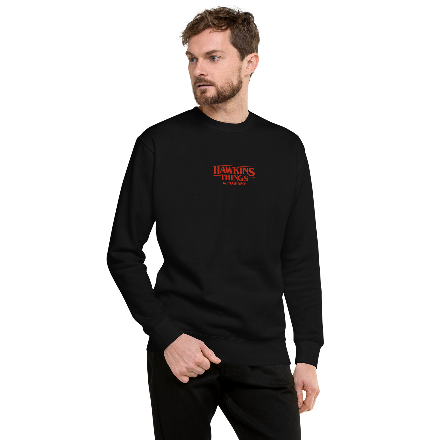 sudadera-will-the-sorcerer-stranger-things-negra-peghaso-sudadera-hawkings.jpg