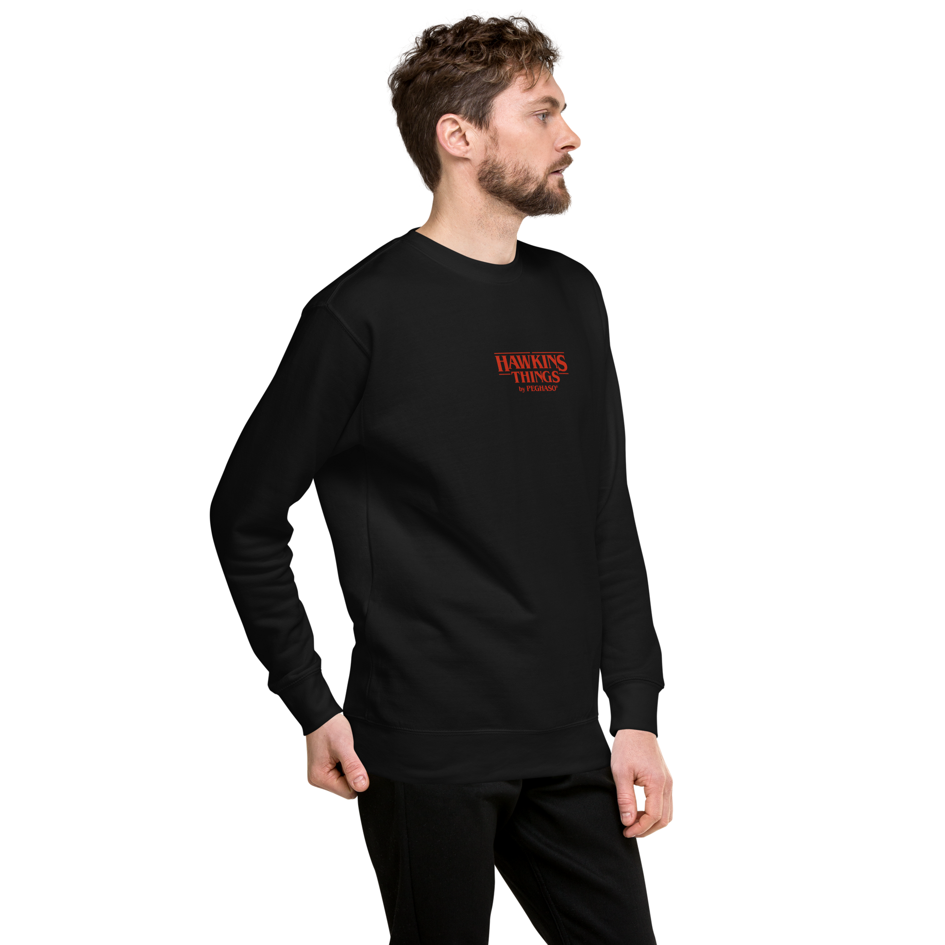 sudadera-will-the-sorcerer-stranger-things-negra-peghaso.jpg