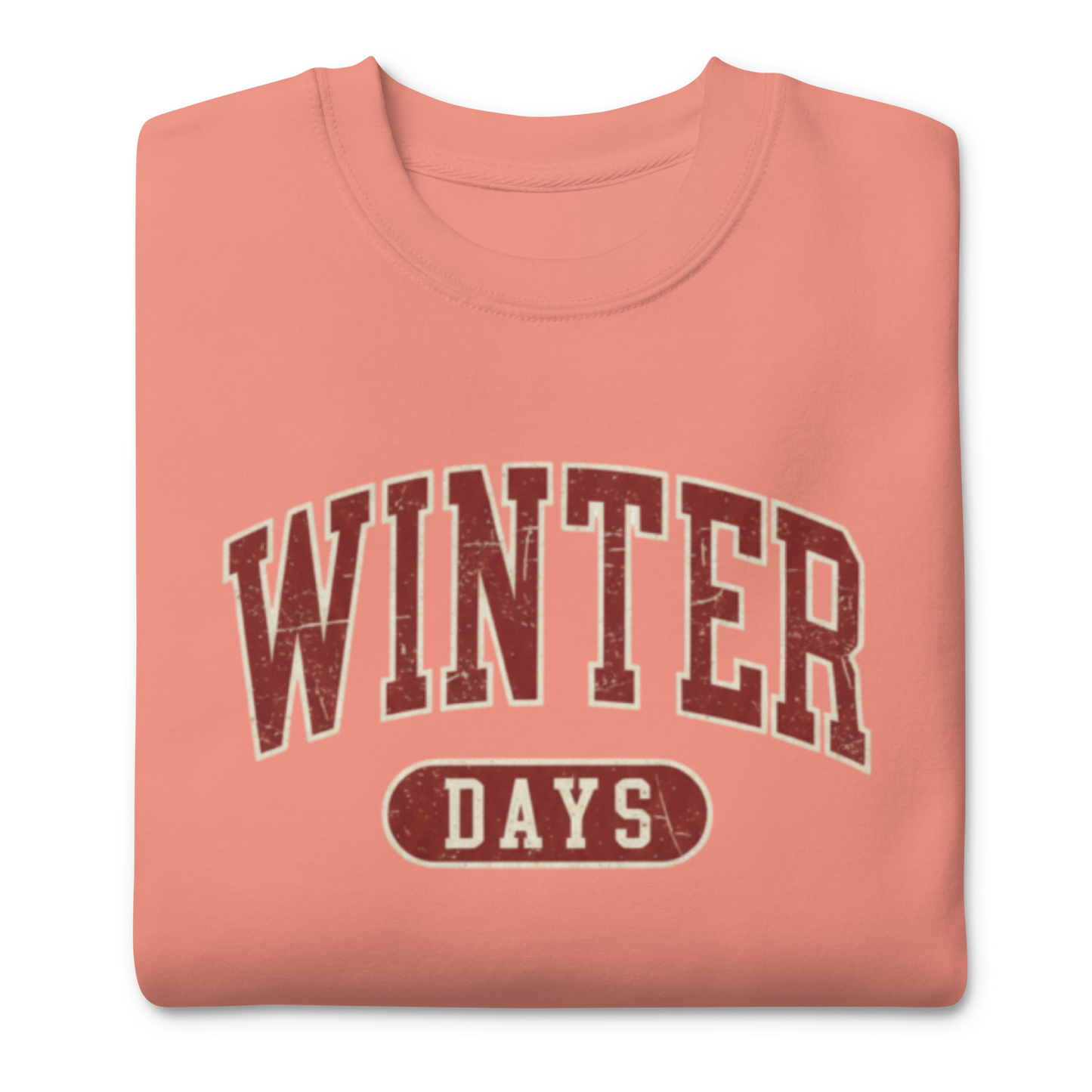 3. Sudadera premium WINTER DAYS PEGHASO