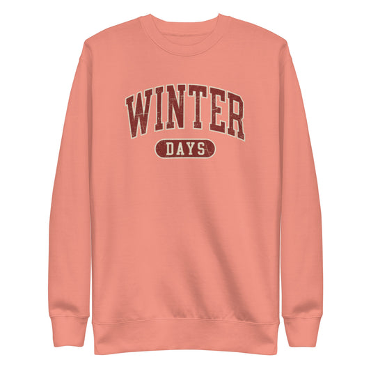 sudadera-peghaso-winter-days-dusty-rose.jpg